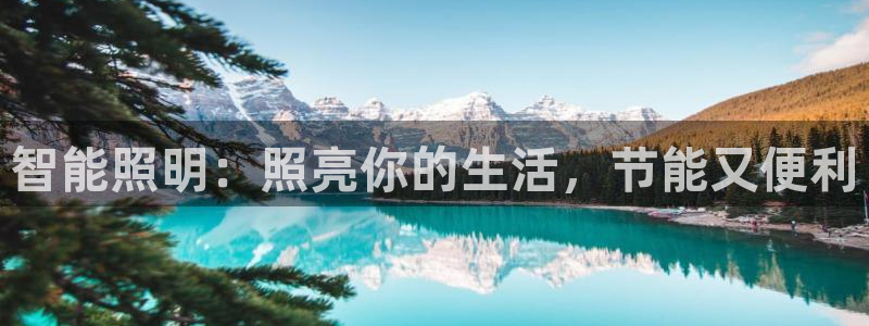 云顶集团公司电话