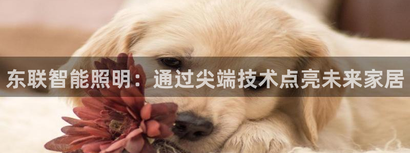 云顶国际大酒店位于哪个街道