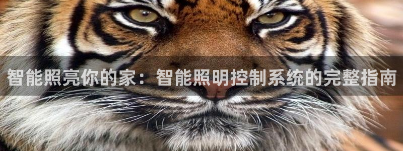 云顶集团app免费下载安装
