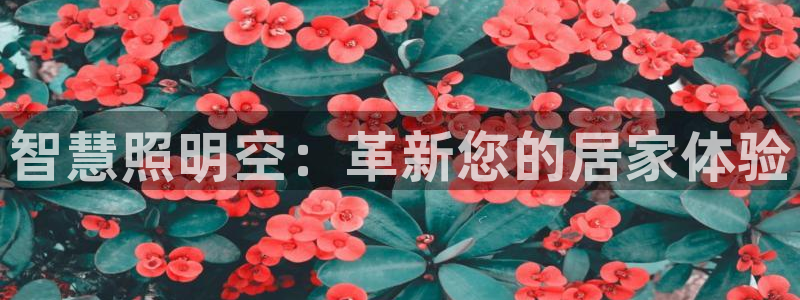 2322云顶国际手机版