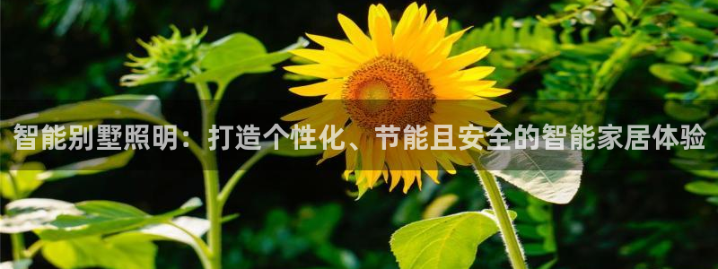 云顶国际(集团)开发实业有限公司