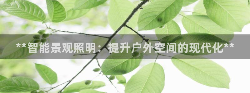 云顶国际实业有限公司
