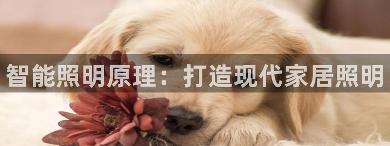 云顶国际旅行社电话