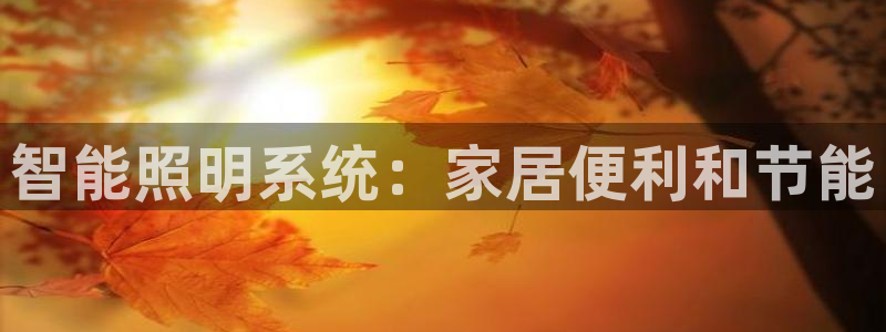 云顶国际app官方网站下载