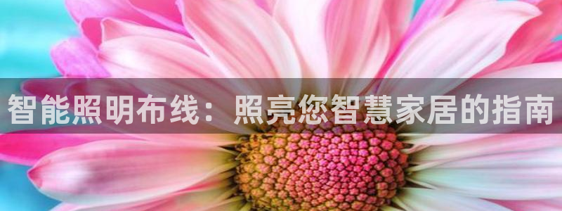 云顶国际nba智库