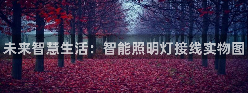 云顶国际集团io