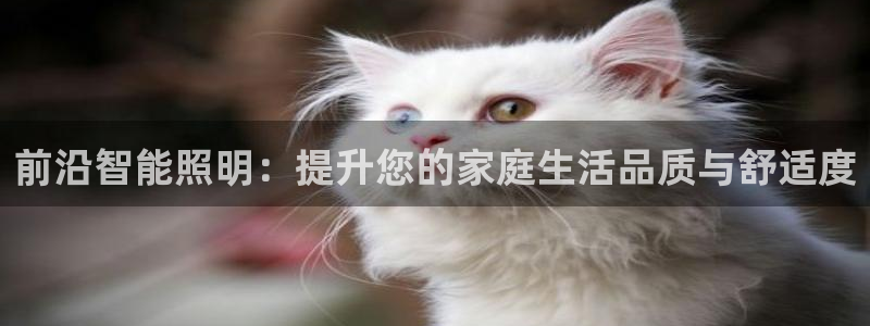 云顶集团市值