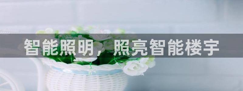 云顶国际什么时候能提现