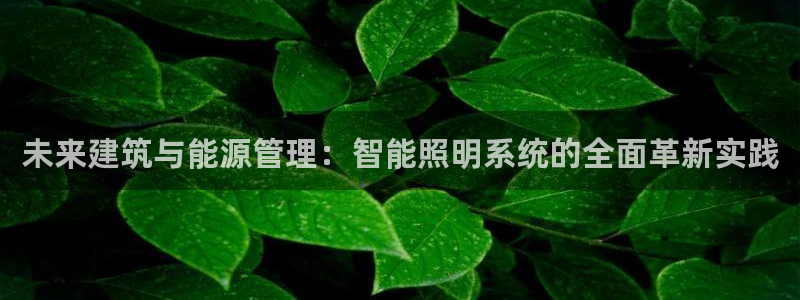 云顶国际大酒店是几星级