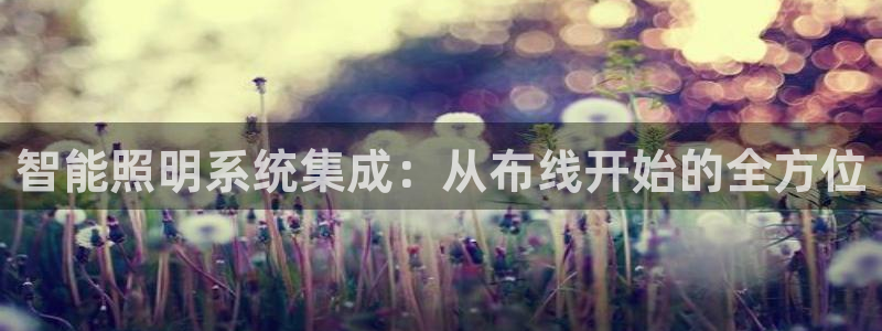 手游云顶国际服更新