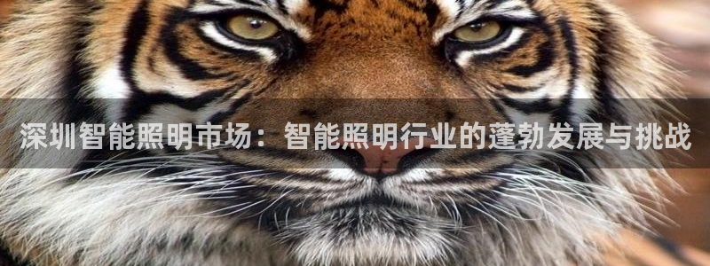 云顶国际网上平台