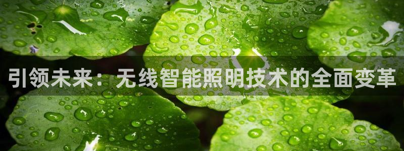 云顶国际会所在哪里