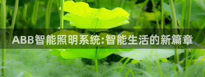 成山路800号(云顶国际商业广场a座101)电话