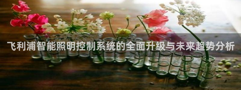 云顶集团公司 英文