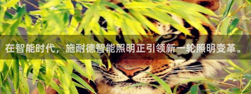 yd2333云顶电子游戏：在智能时代，施