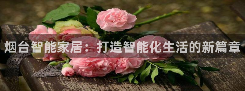 云顶国际游戏网址是什么