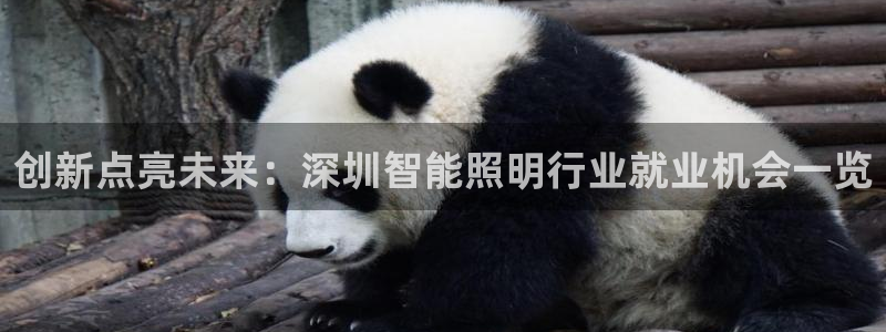 云顶集团简介概况