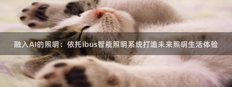 云顶国际app怎么样可靠吗
