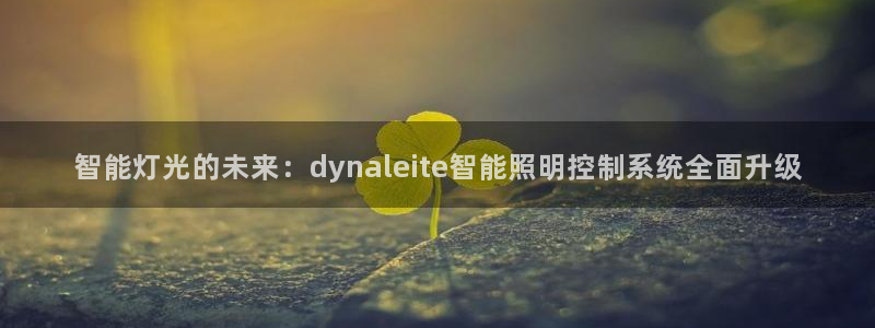 官方云顶国际网站下载
