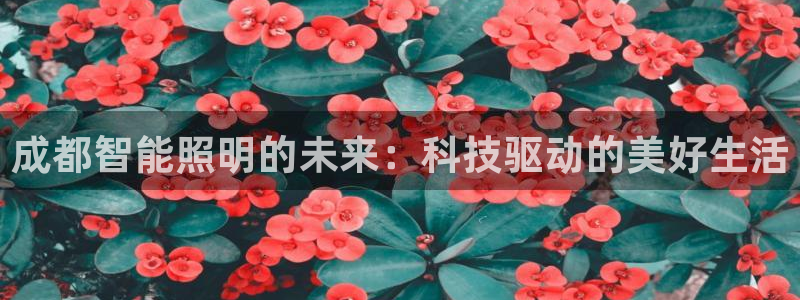 云顶国际KTV会所：成都智能照明的未来：