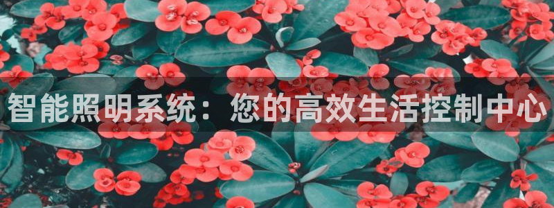 云顶国际商业广场A座101电话