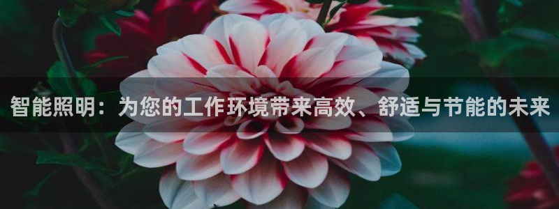 云顶国际服什么时候更新的