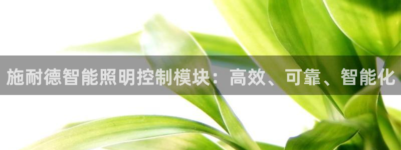 云顶国际app免费下载安卓