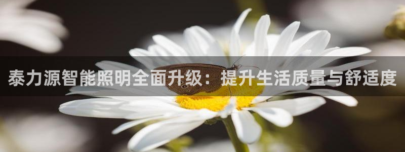 云顶国际会所是干嘛的地方啊