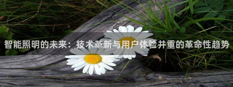 云顶国际集团发展有限公司