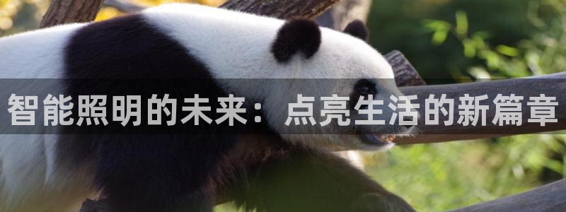 云顶国际足球app下载最新版