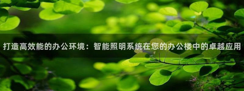 云顶国际装饰设计