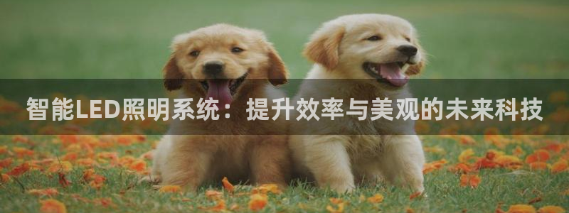 云顶集团3118app下载