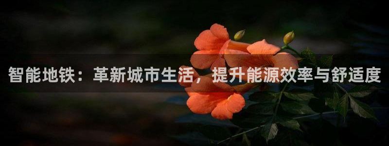 云顶手游国际服什么时候更新