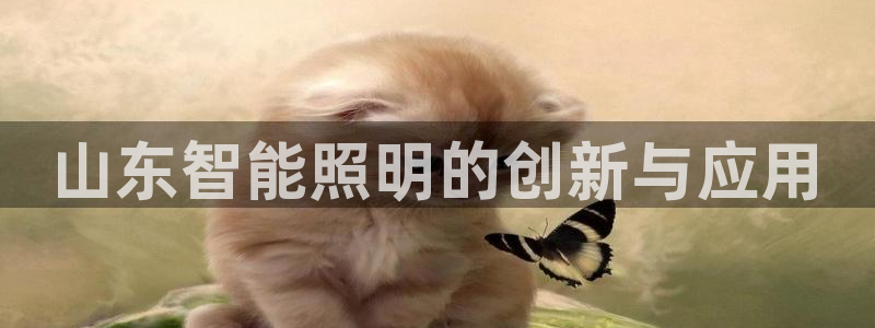 云顶国际服s11
