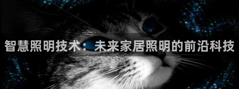 云顶国际音乐会