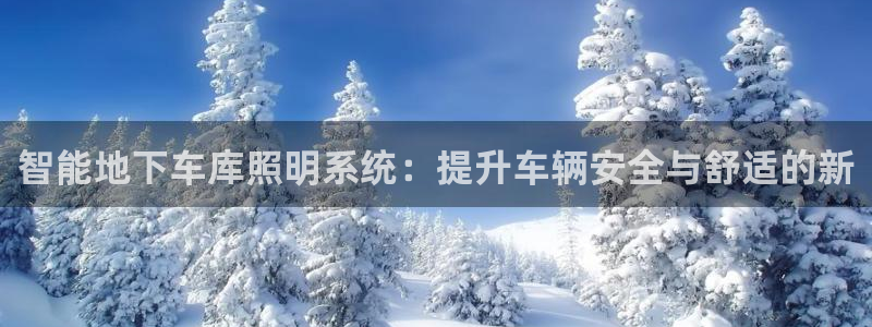 云顶国际集团发展有限公司