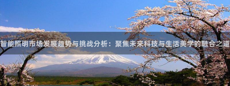 云顶国际公馆二手房出售