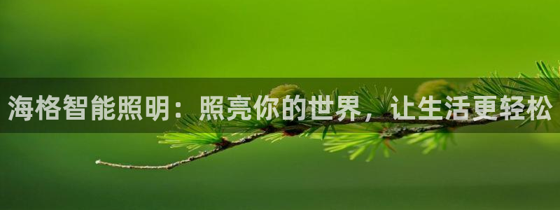 云顶国际黑网不出款怎么办