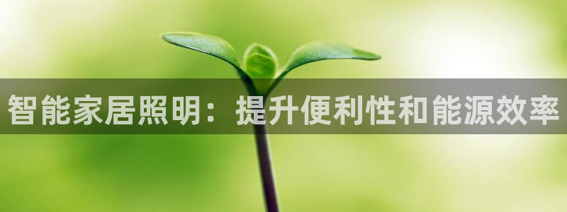 云顶国际服哪个服人多