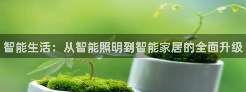 云顶国际服s11什么时候上线