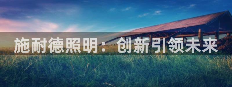 云顶集团专属app：施耐德照明：创新引领