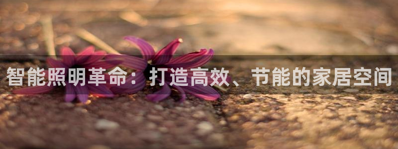 云顶国际培训中心官网：智能照明革命：打造