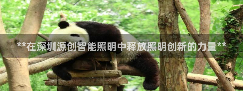 云顶集团老总个人资料：**在深圳源创智能