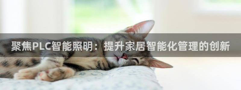 云顶国际大酒店住宿怎么样