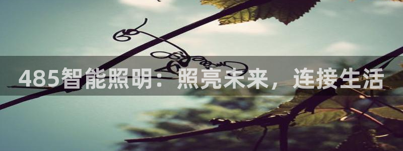 云顶国际app免费下载安卓