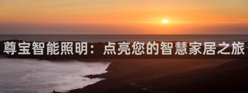 云顶国际电子游戏官网