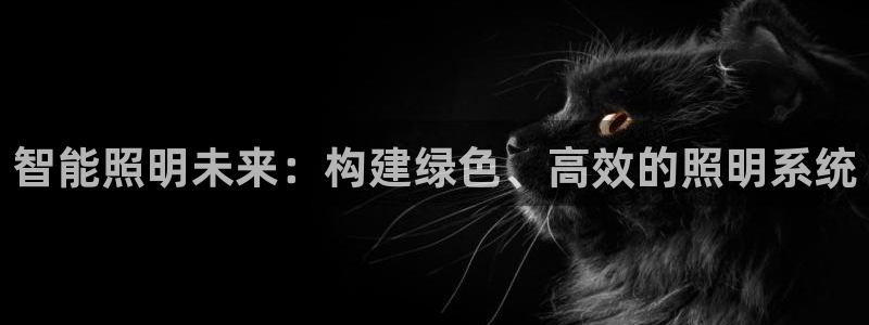 云顶控股集团有限公司：智能照明未来：构建
